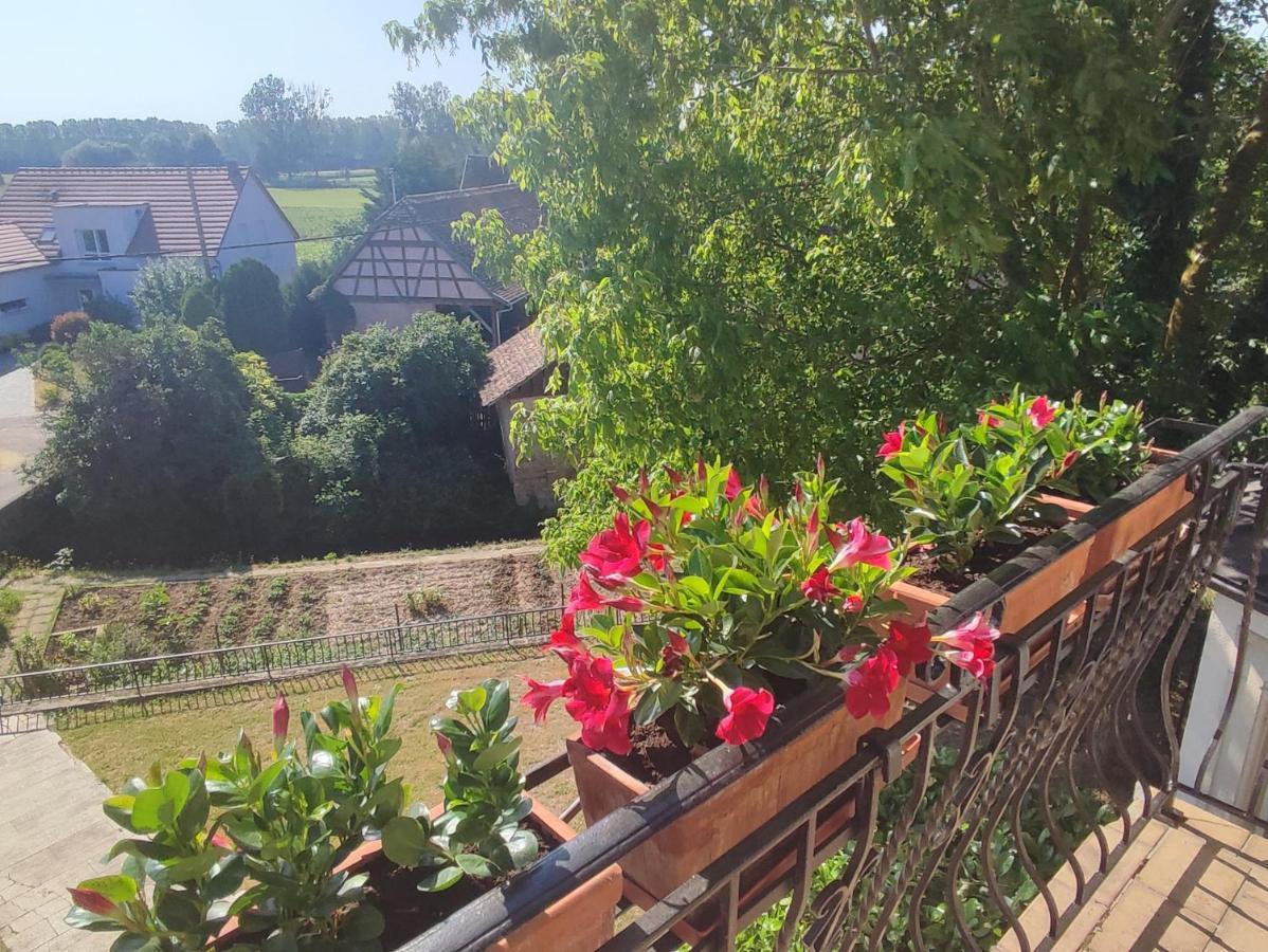 Appartement Des Rives De L'Ehn Krautergersheim Eksteriør billede